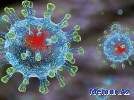 Daha iki ölkədə koronavirus aşkarlandı
