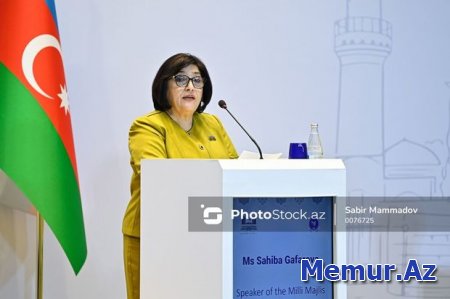 Sahibə Qafarova: “Azərbaycanın infrastrukturu bütün Asiya ölkələri üçün əlçatandır”