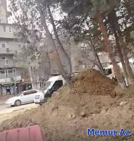 “Körpü Bina Tikinti” Bakıda yaşıllıq belə məhv edir- Fotofakt