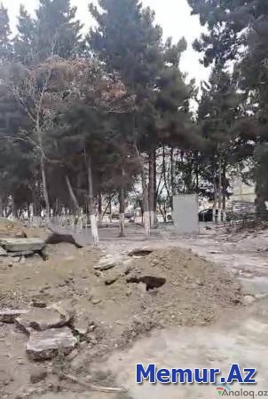 “Körpü Bina Tikinti” Bakıda yaşıllıq belə məhv edir- Fotofakt
