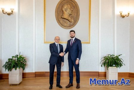 Azərbaycan və Moldova "yaşıl enerji"də yeni əməkdaşlığı müzakirə edib