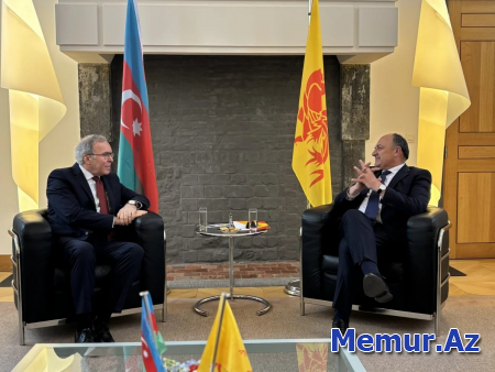 Vaqif Sadıqov Valloniya Regional Parlamentinin sədri ilə görüşüb