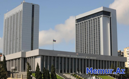 İnsan alverinə qarşı mübarizə üzrə Milli Koordinatorun illik məlumatı parlamentə daxil olub