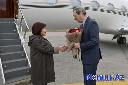 Sahibə Qafarova Monteneqroda işgüzar səfərdədir