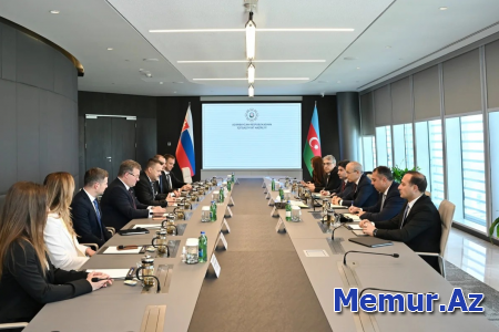 Azərbaycan və Slovakiya biznes əlaqələrinin gücləndirilməsini müzakirə edib