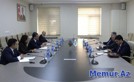 MEDİA-da D-8 İqtisadi Əməkdaşlıq Təşkilatının Baş katibi ilə ikitərəfli görüş keçirilib